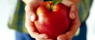 Яблоки, польза и вред для здоровья взрослого человека